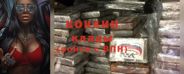 гидра Алексеевка