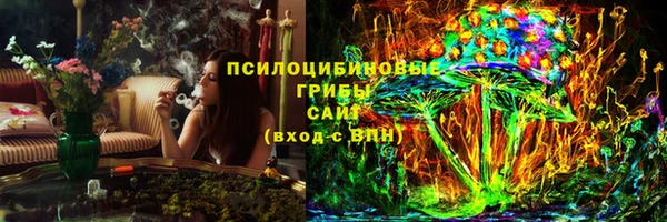 гидра Алексеевка
