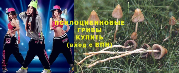 индика Алзамай