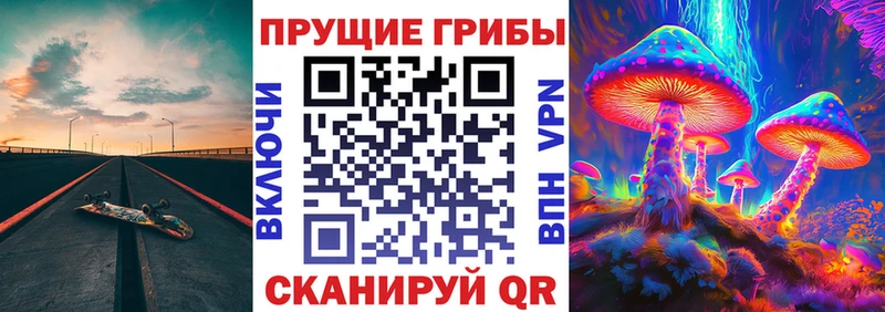 Галлюциногенные грибы прущие грибы  продажа наркотиков  Ипатово 